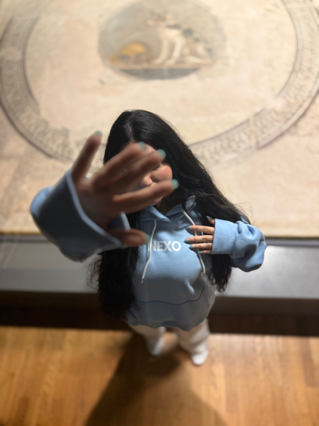 Authentic Alexandria Themed Baby-Blue Hoodie